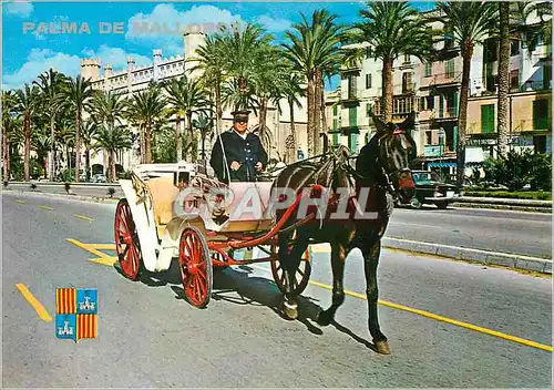 Cartes postales moderne Palma de Mallorca Paseo Sagrera Caleche Cheval