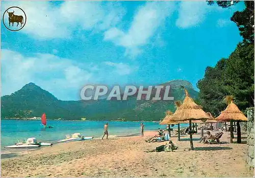 Cartes postales moderne Palma de Mallorca Plage de Formentor