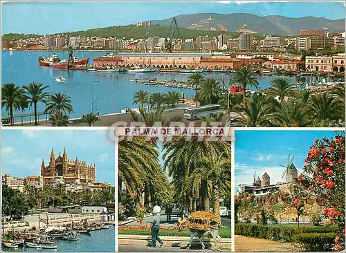 Cartes postales moderne Palma de Mallorca Bateaux