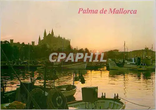 Cartes postales moderne Palma de Mallorca Catedral Bateaux
