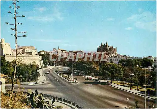 Cartes postales moderne Palma de Mallorca Paseo Maritimo y la Catedral
