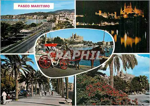 Cartes postales moderne Palma de Mallorca Promenade Maritime