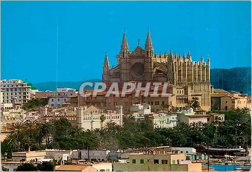 Moderne Karte Palma de Mallorca Catedral