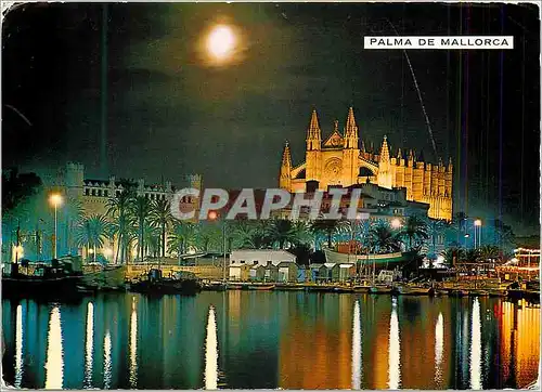 Cartes postales moderne Palma de Mallorc Cathedrale et Longe