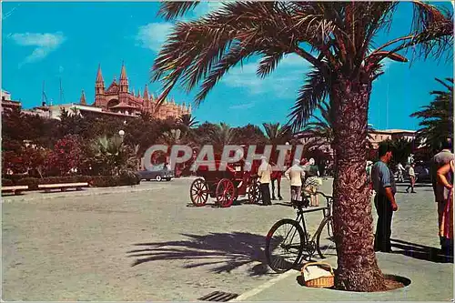 Cartes postales moderne Palma de Mallorca Paseo de Sagrera