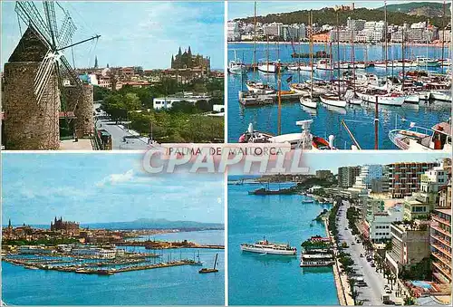 Cartes postales moderne Mallorca Palma Beautes de la Ville Moulin Bateaux