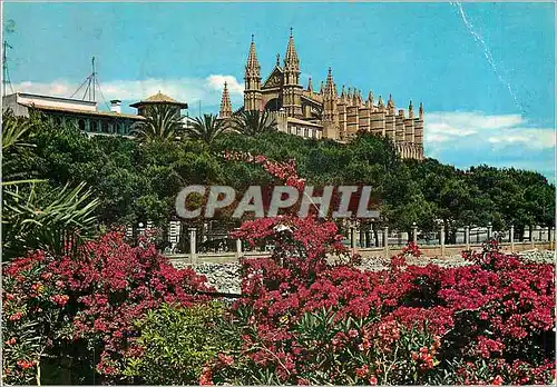 Cartes postales moderne Mallorca (Baleares) Espana Palma la Catedral