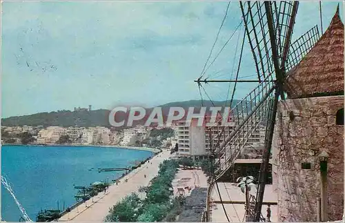 Cartes postales moderne Mallorca Palma Promenade Maritime Vue du Moulin du Jonquet