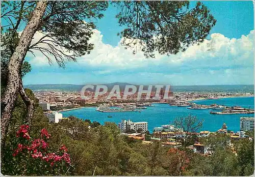 Cartes postales moderne Mallorca (Baleares) Espana Palma Vista General Desde et Basque de Bellver Baetaux