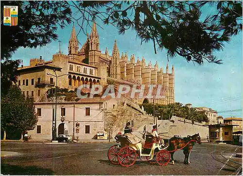 Cartes postales moderne Mallorca Palma la Cathedrale Caleche Cheval