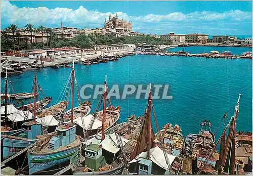 Cartes postales moderne Mallorca (Baleares) Espana Palma la Catedral y la Lonja Desde et Muelle de Pescadores Bateaux