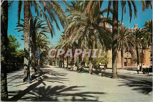 Cartes postales moderne Palma de Mallorca Paseo de Sagrera