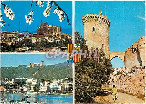 Cartes postales moderne Palma de Mallorca Catedral y Castillo de Bellver