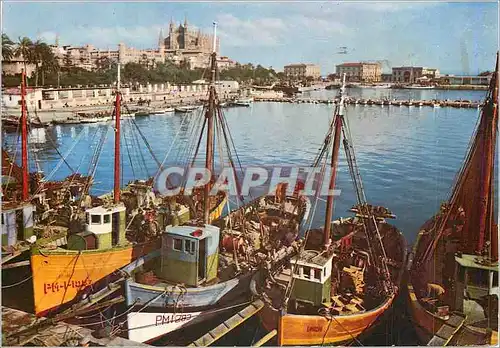 Moderne Karte Palma de Mallorca Puerto y Catedral Bateaux