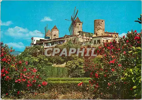 Cartes postales moderne Mallorca (Baleares) Espana Palma Molinos del Jonquet Moulins