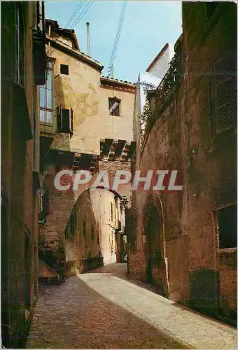 Cartes postales moderne Palma de Mallorca Arcade de la Rue Almudaina