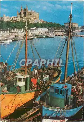Cartes postales moderne Palma de Mallorca (Espana) Puerto y Catedral Bateaux