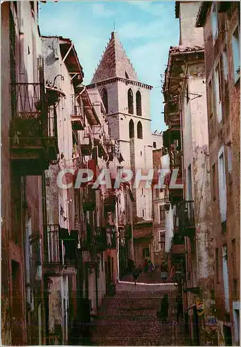 Cartes postales moderne Palma Mallorca Rue Typique