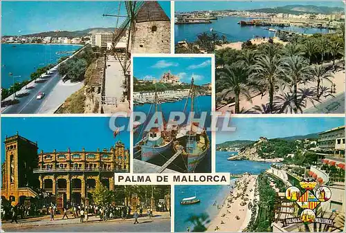 Cartes postales moderne Palma de Mallorca