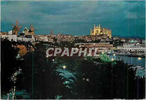 Cartes postales moderne Mallorca (Baleares) Espana Palma la Catedral y los Molinos del Jonquet Vista Nocturno
