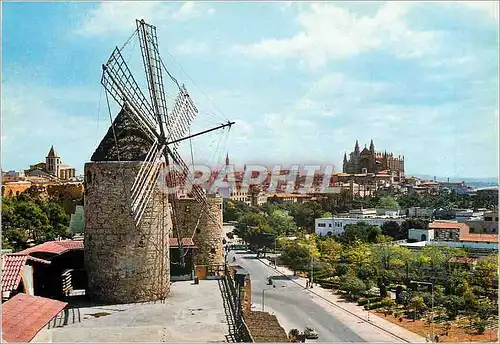 Cartes postales moderne Mallorca Palma le Moulin au Fond la Cathedrale