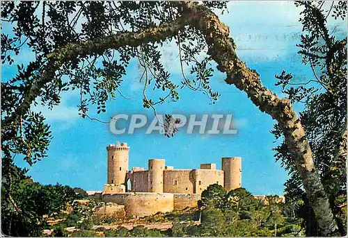 Cartes postales moderne Mallorca (Baleares) Espana Palma