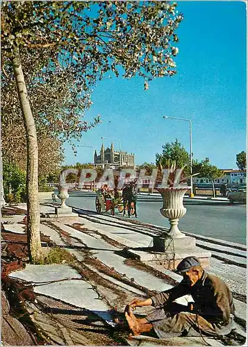 Moderne Karte Mallorca (Baleares) Espana la Catedral