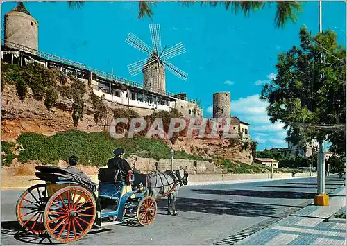 Cartes postales moderne Mallorca (Baleares) Espana Palma Paseo Maritimo Molinos del Jonquet