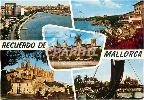 Cartes postales moderne Mallorca Palma Paseo Maritimo Pinya Calamayor Molinos de Es Jonquet la Catedral
