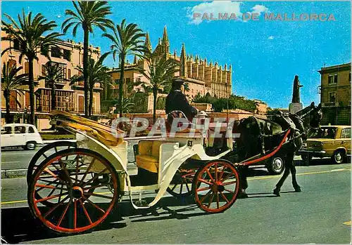 Cartes postales moderne Palma de Mallorca Paseo Sagrera