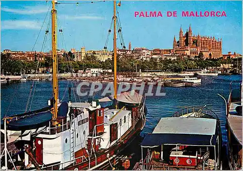 Moderne Karte Palma de Mallorca (Mallorca) Coin de la Baie et la Cathedrale