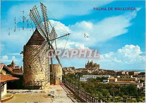 Cartes postales moderne Palma de Mallorca El Molino al Fondo la Catedral