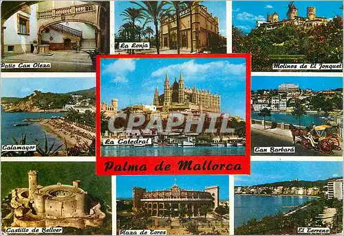 Cartes postales moderne Palma de Mallorca (Baleares) Espana la Lonja Molinos de El Jonquet