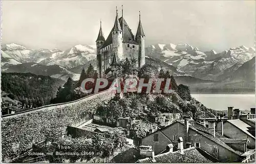 Cartes postales moderne Thun Schloss mit Bluemlisalp (3669m)