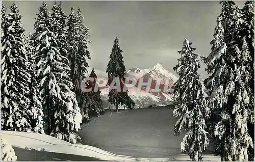 Cartes postales moderne Crans s Sierre alt 1500m Tous les Sports d'Ete et d'Hiver le Weisshorn (4512m)