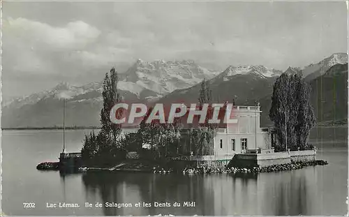 Cartes postales moderne Lac Leman Ile de Salagnon et les Dents du Midi