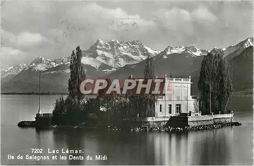 Cartes postales moderne Lac Leman Ile de Salagnon et les Dents du Midi