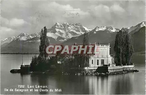 Moderne Karte Lac Leman Ile de Salagnon et les Dents du Midi