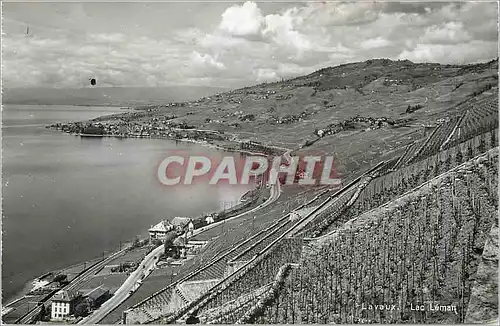 Cartes postales moderne Lavaux Lac Leman