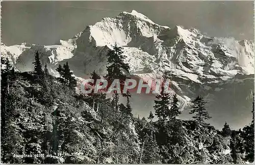 Cartes postales moderne Jungfrau (4167m)
