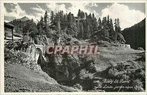 Cartes postales moderne Bourg St Pierre la Linea Jardin Alpin