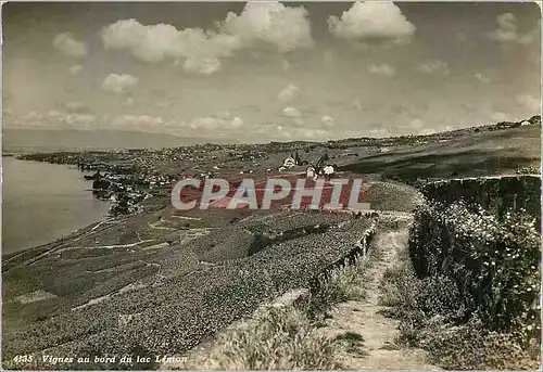 Moderne Karte Vignes au Bord du Lac Leman