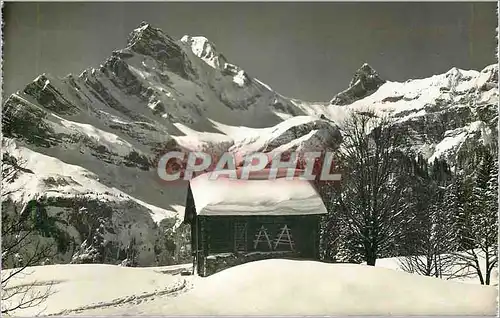 Cartes postales moderne Braunwald Glarus 1300m Ortstock 2720m Hoher Turm 2669m