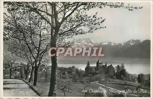 Cartes postales moderne Chateau de Blonay et Dts du Midi