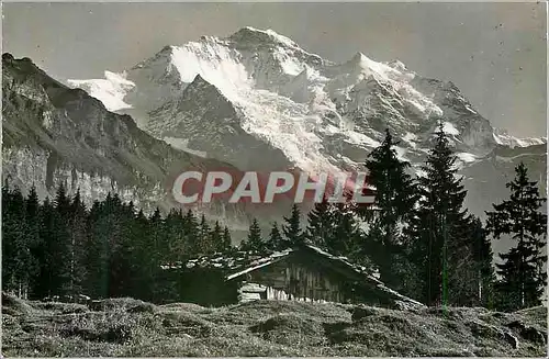 Cartes postales moderne Bei Wengen die Jungfrau