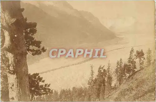 Cartes postales moderne Riederalp Aletschwald