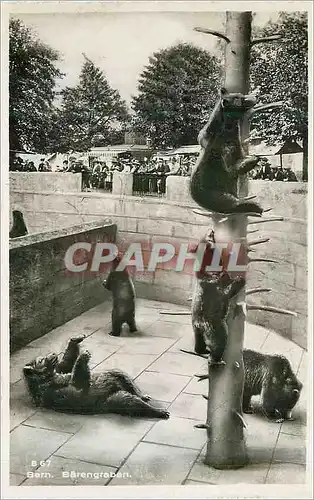 Cartes postales moderne Berne la Fosse aux Ours