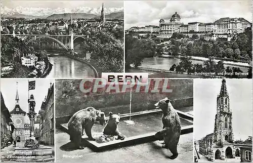 Cartes postales moderne Bern Ours
