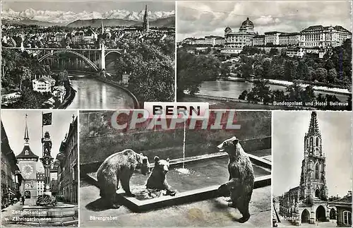 Cartes postales moderne Bern Ours