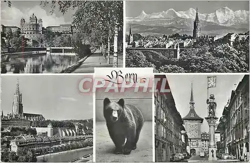 Cartes postales moderne Bern Ours